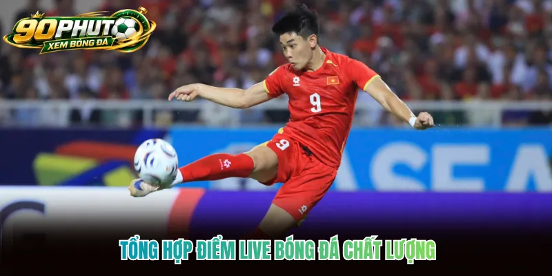 Tổng hợp điểm live bóng đá chất lượng